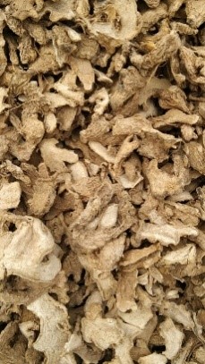 Ginger